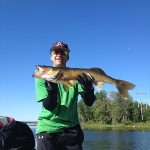 Walleye - Gods Lake Northern Manitoba