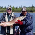 Trophy Pike - Gods Lake